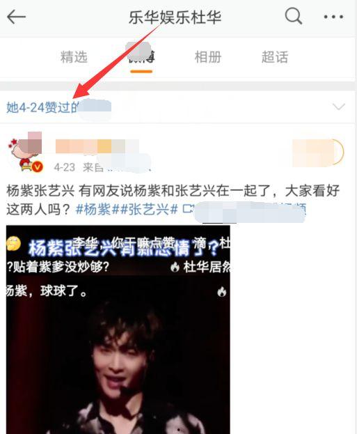 娱乐吃瓜文字解说全集,揭秘明星幕后故事