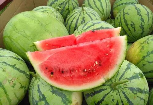 五一吃瓜今日必吃大瓜下一句是啥