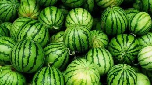 五一吃瓜今日必吃大瓜下一句是啥