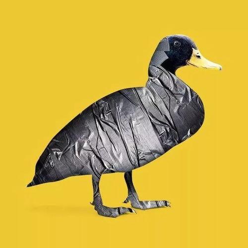 娱乐吃瓜君遛鸟大师,遛鸟大师的传奇人生